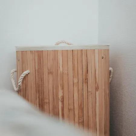 Le Cocon De Jaude F2 Hypercentre Avec Ascenseur 52bonnabaud Appartement