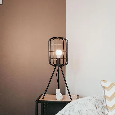 Lägenhet Le Cocon De Jaude F2 Hypercentre Avec Ascenseur 52bonnabaud *