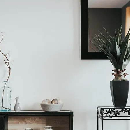 Le Cocon De Jaude F2 Hypercentre Avec Ascenseur 52bonnabaud * Clermont-Ferrand