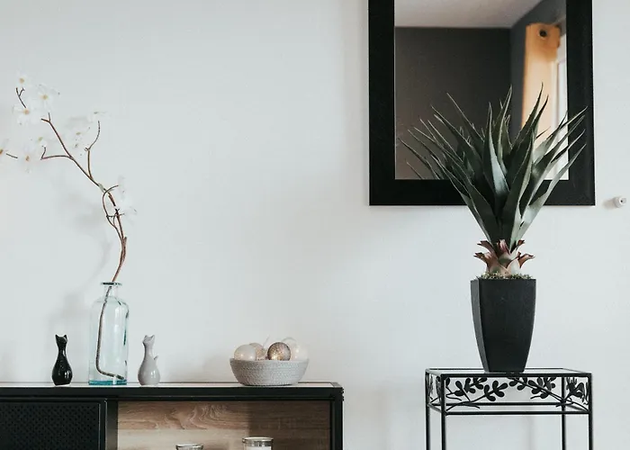 Le Cocon De Jaude F2 Hypercentre Avec Ascenseur 52bonnabaud * Clermont-Ferrand